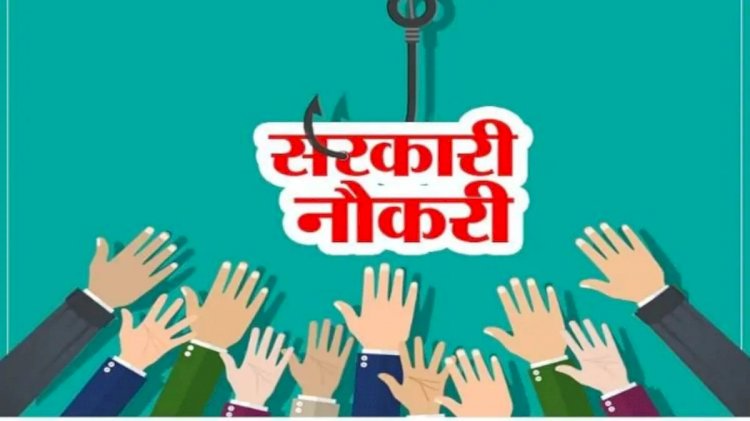 Sarkari Naukri 2020: कोरोना काल के बीच 4000 पदों पर निकली सरकारी भर्तियां, 8वीं पास कर सकते हैं आवेदन