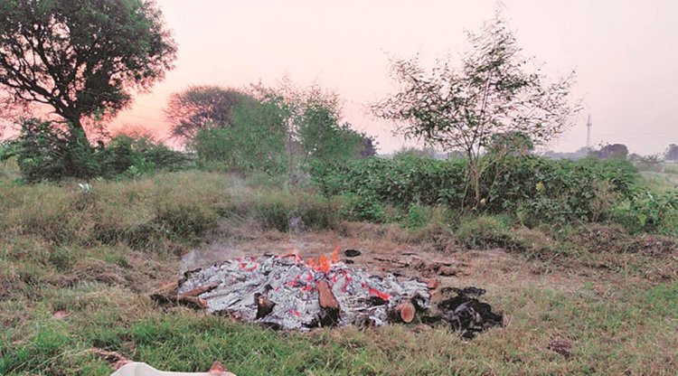 हाथरस गैंगरेप मामले में हुआ सबसे बड़ा खुलासा, जांच में सामने आया नहीं हुआ रेप, ADG का दावा- इस तरह की गई थी हत्था