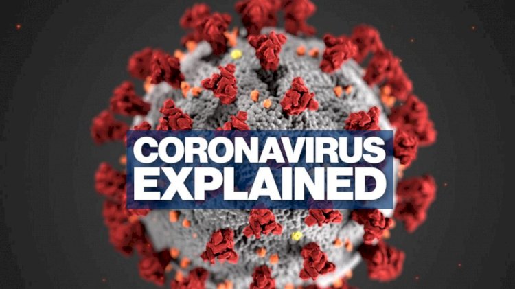 Coronavirus Update : महामारी से संक्रमित लोगों का आंकड़ा बढ़कर हुआ 70 लाख, जानिए आपके राज्य का हाल