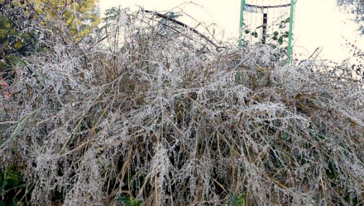 माउंटआबू में न्यूनतम तापमान जमाव बिन्दु पर पहुंचा तापमान, सर्दी का सितम जारी