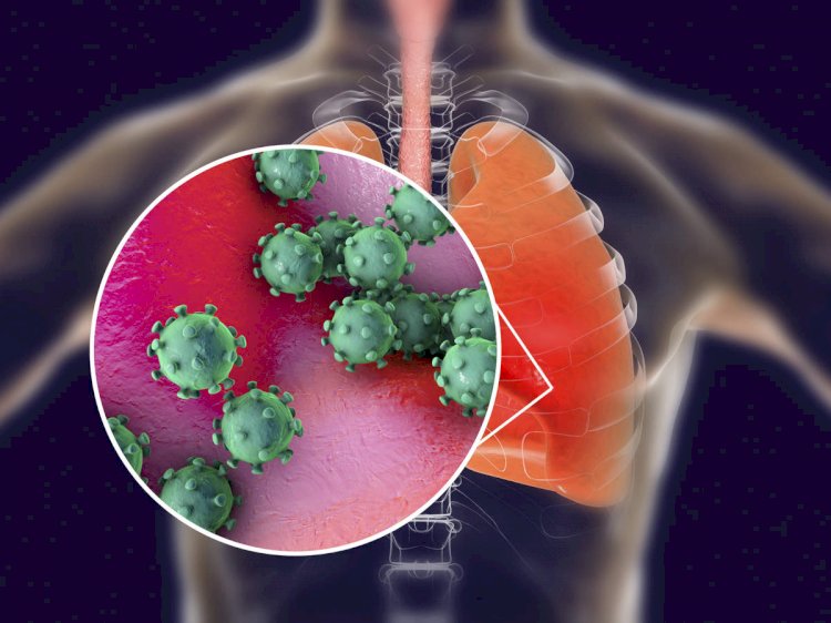 Coronavirus New Variant : ब्रिटेन के बाद भारत में भी सामने आया नया वैरिएंट, जानिए कितना है खतरनाक