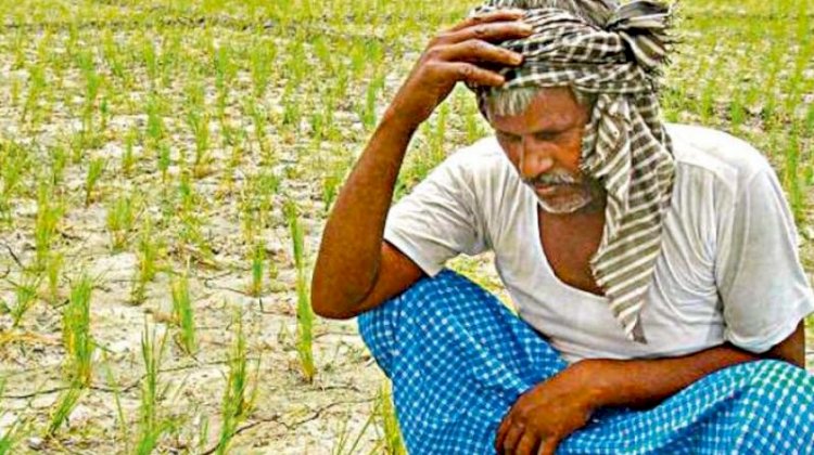 व्यापारी ने नहीं ली फसल तो किसान ने की आत्महत्या, सदमे में भाई की भी हार्ट अटैक से मौत