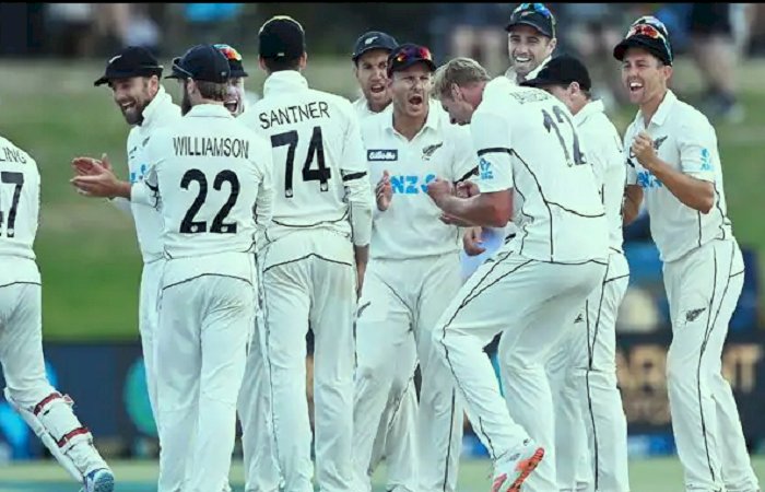 NZ VS PAK: फवाद -रिजवान की पारी पर फिरा पानी, New Zealand ने पाकिस्तान को दी 101 रनों से मात