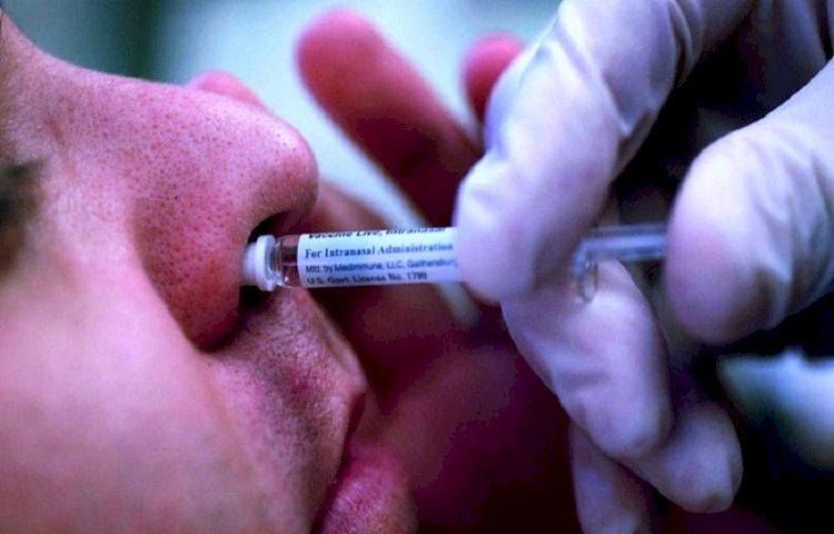 Nasal Vaccine: भारत बायोटेक ने बनाई कोरोना की नेजल वैक्सीन, ट्रायल के लिए DCGI से मांगी मंजूरी