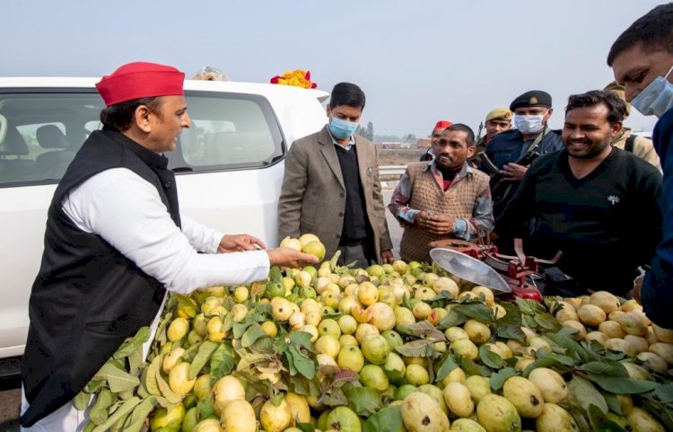 ठेले पर रूके अखिलेश, बोले- भाई अभी भी इलाहाबादी अमरूद कहलाता है या ‘प्रयागराजी अमरूद’ हो गया है?