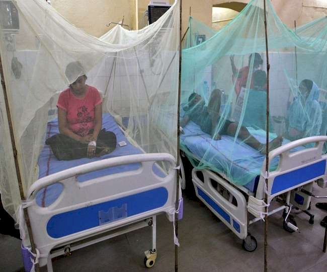 Dengue Case : कई राज्यों में डेंगू बना खतरा, डाक्‍टरों की सलाह- सर्तक रहें और हल्‍के बुखार में ही कराएं जांच