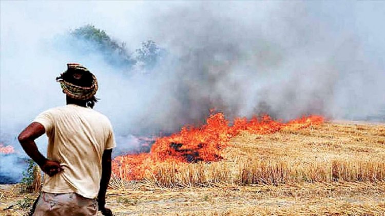 पराली जलाने वाले किसानों को नहीं मिलेगा प्रधानमंत्री नरेंद्र मोदी का तोहफा, जानिए पूरा मामला