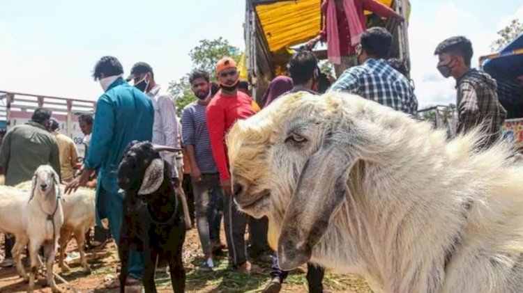 शराब के नशे में धुत शख्स ने बकरे के बदले इंसान की ही दे दी बलि, हुआ गिरफ्तार